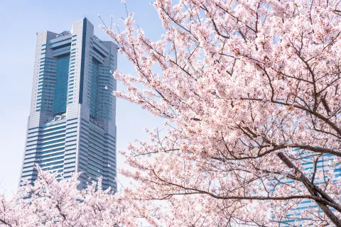 入社式・歓迎会を表した写真の例（オフィスビルに歓迎シーズンの桜が映り込んだ写真）